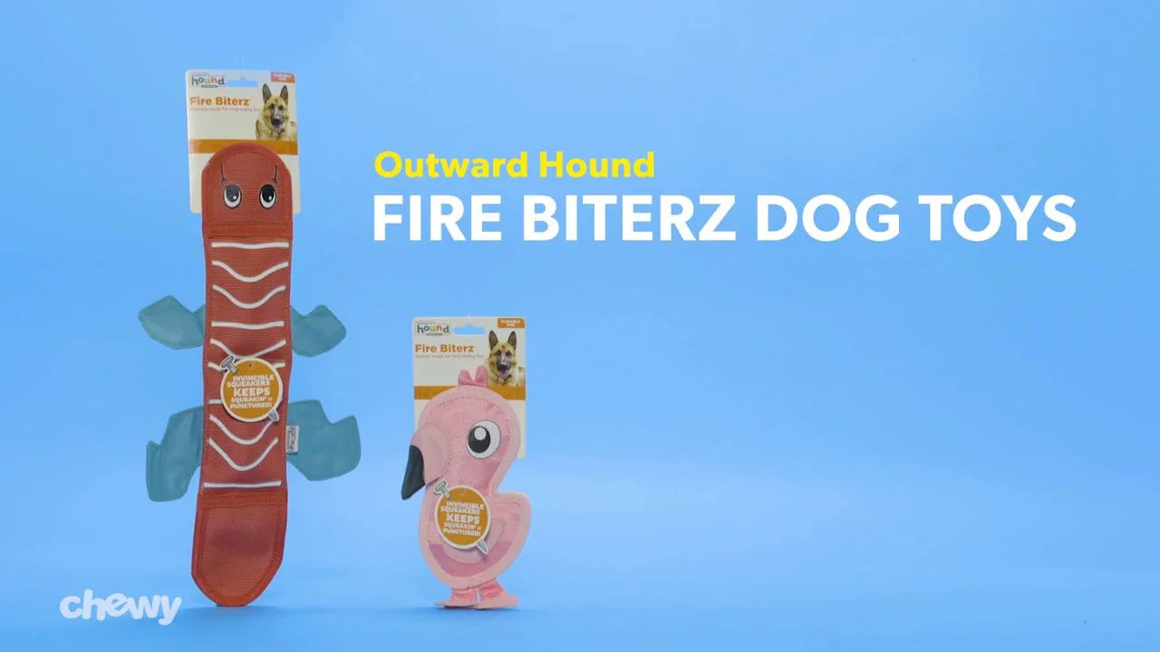 outward hound fire biterz
