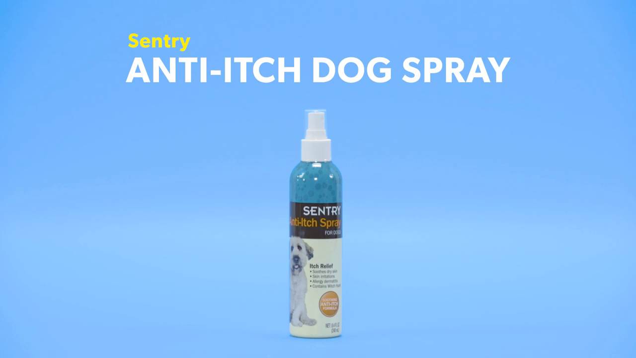 anti itch spray for dogs