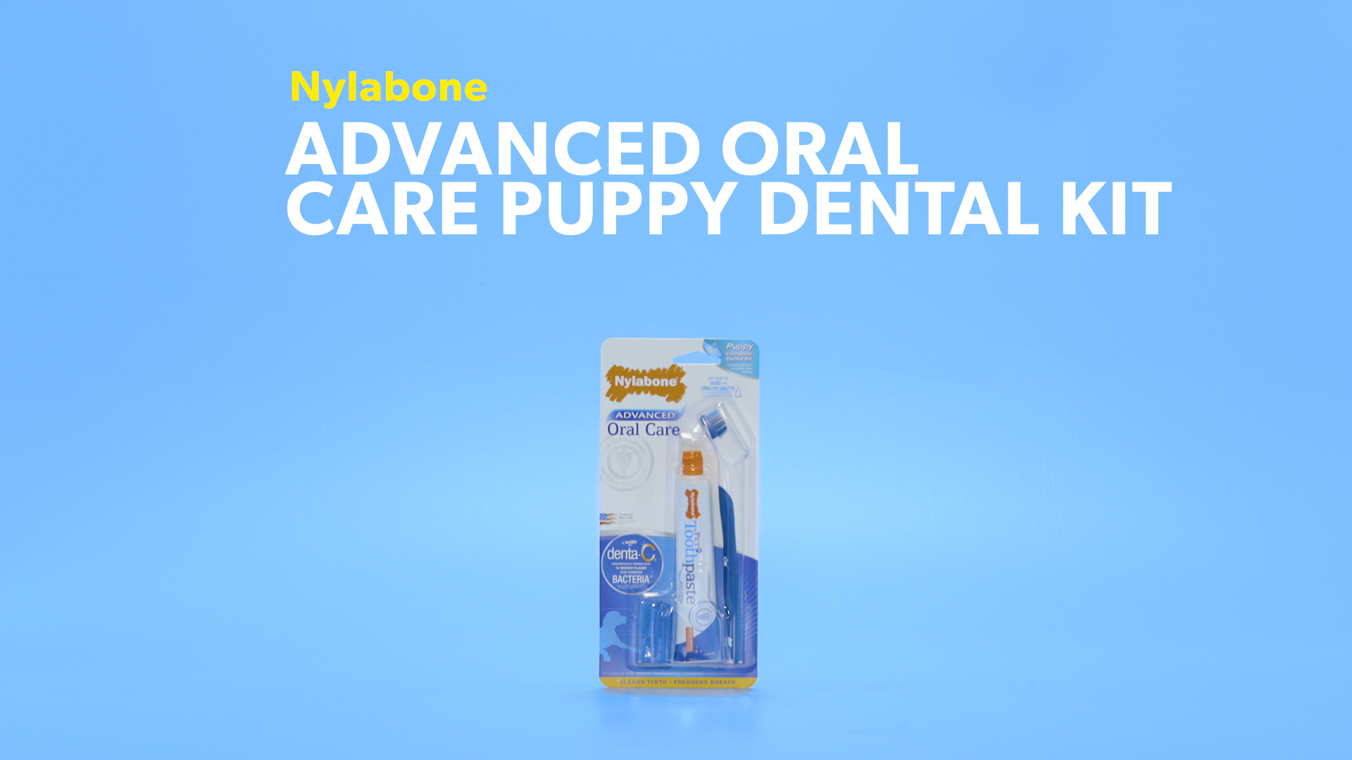 nylabone dog toothbrush