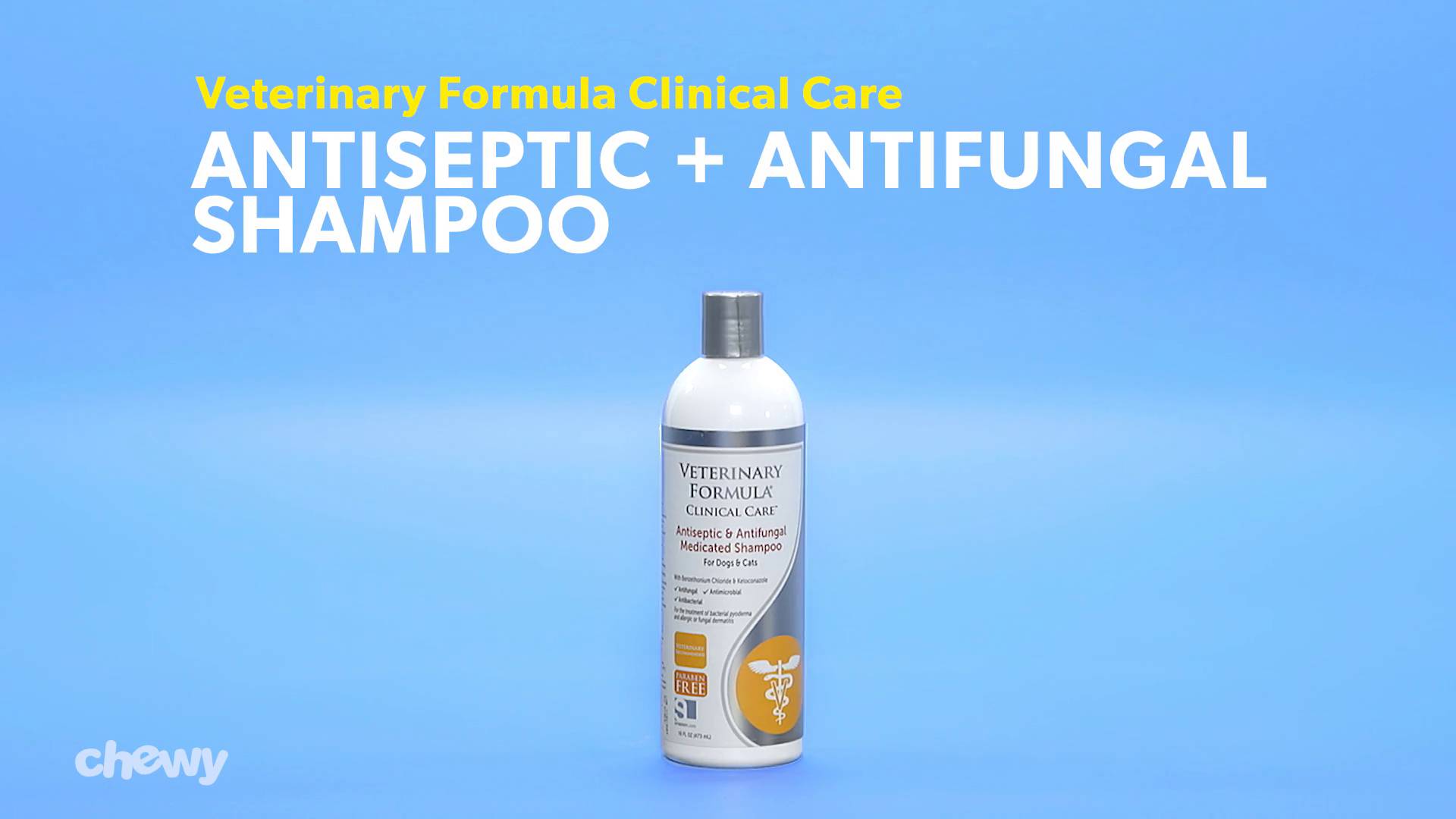 antifungal shampoo