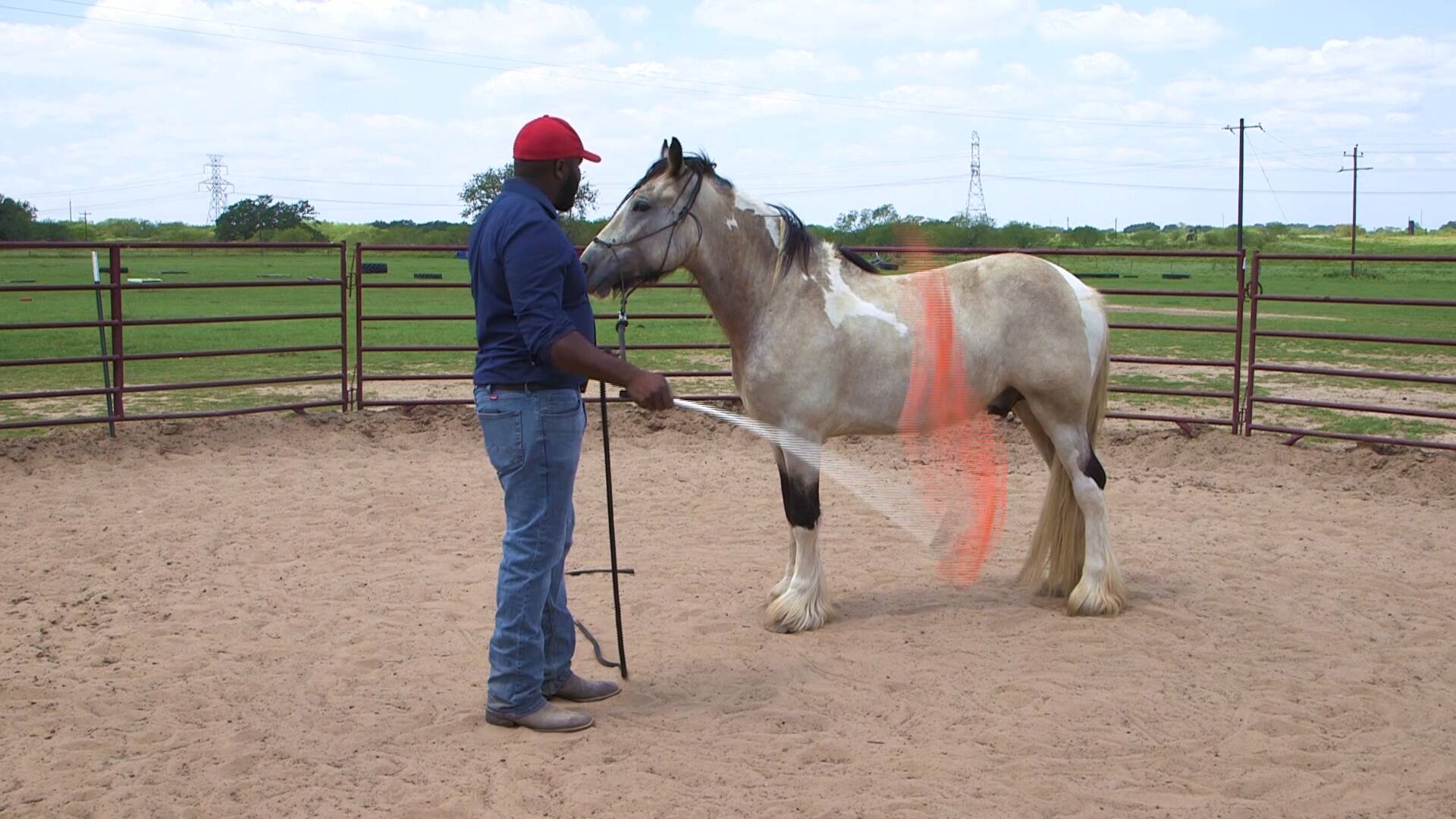 Basic Gradual Desensitizing Course Steady Horse Training