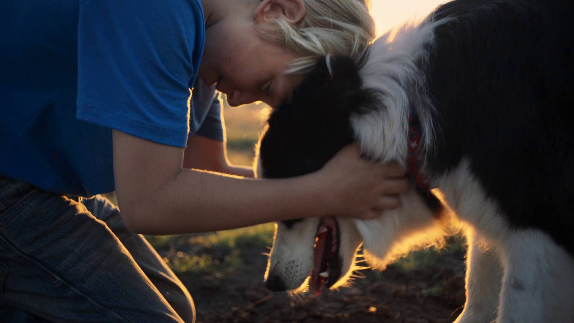 instinct raw boost grain free recipe natural dry dog food