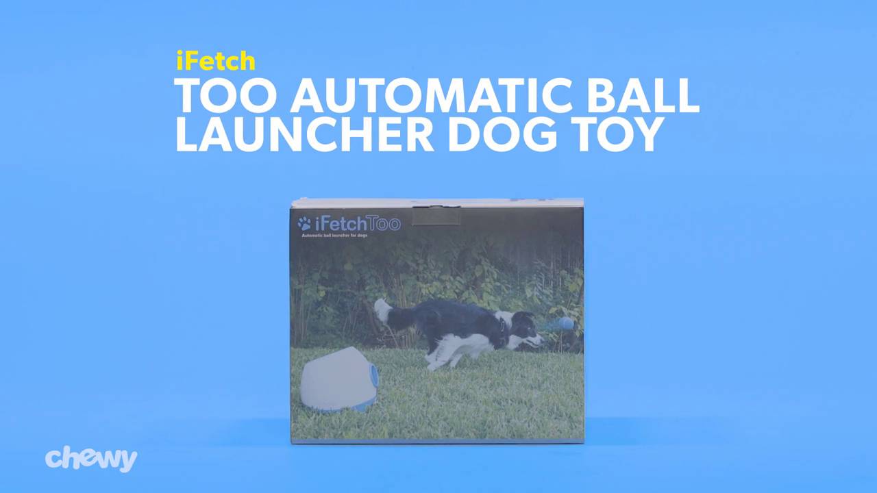ifetch mini automatic ball launcher dog toy