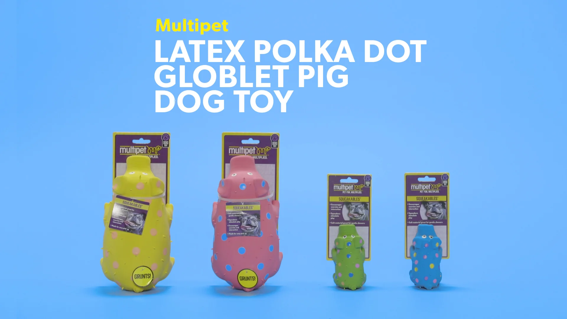 squealing pig dog toy