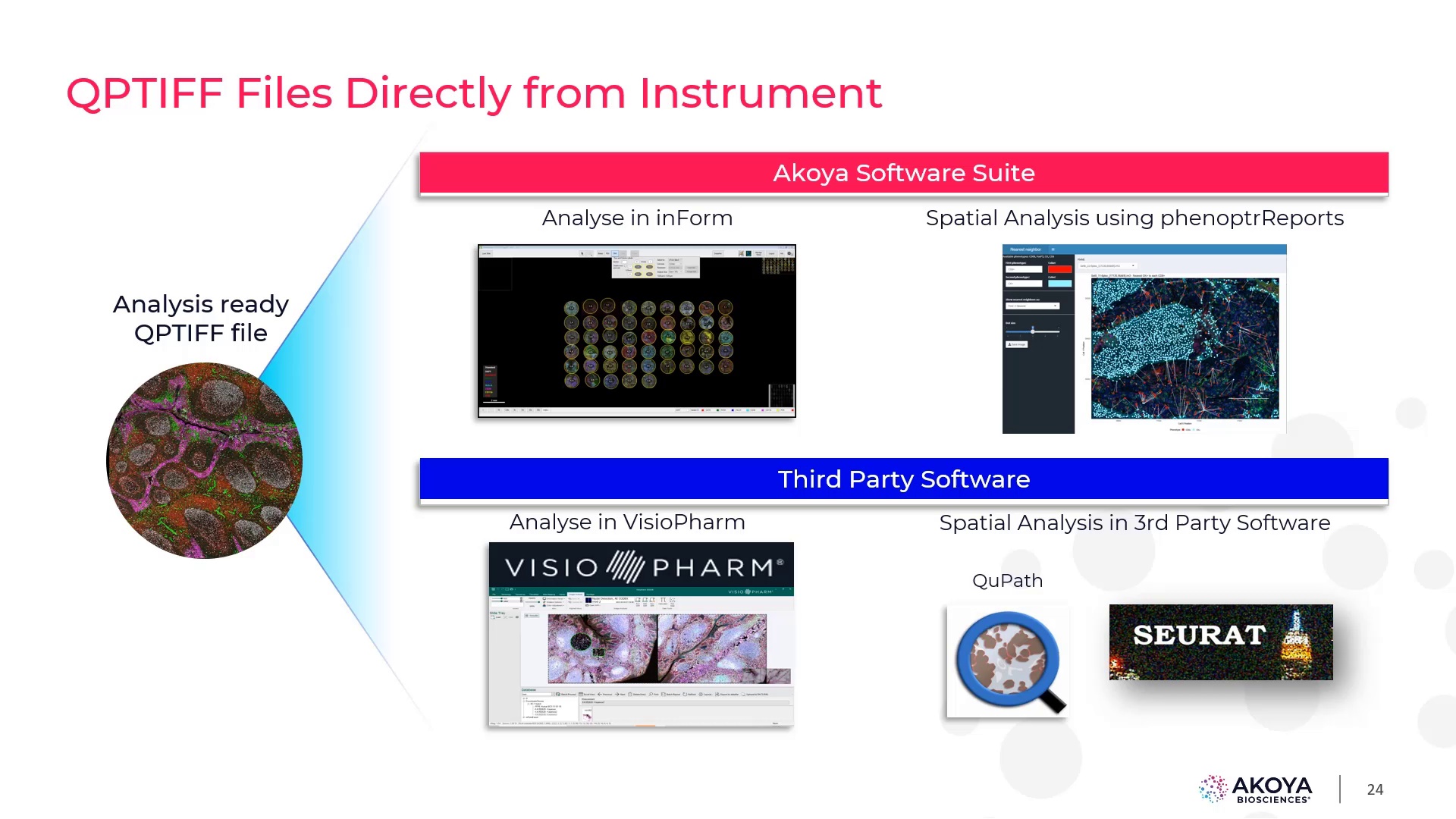 simoa-assay-kits