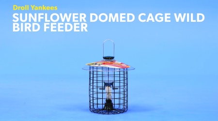 Download Droll Yankees Sunflower Domed Cage Wild Bird Feeder 23 In Chewy Com