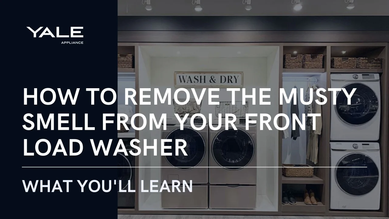 How To Prevent Mold In Your Front Load Washer Pro Appliance Tips,What Is A Caper Bush