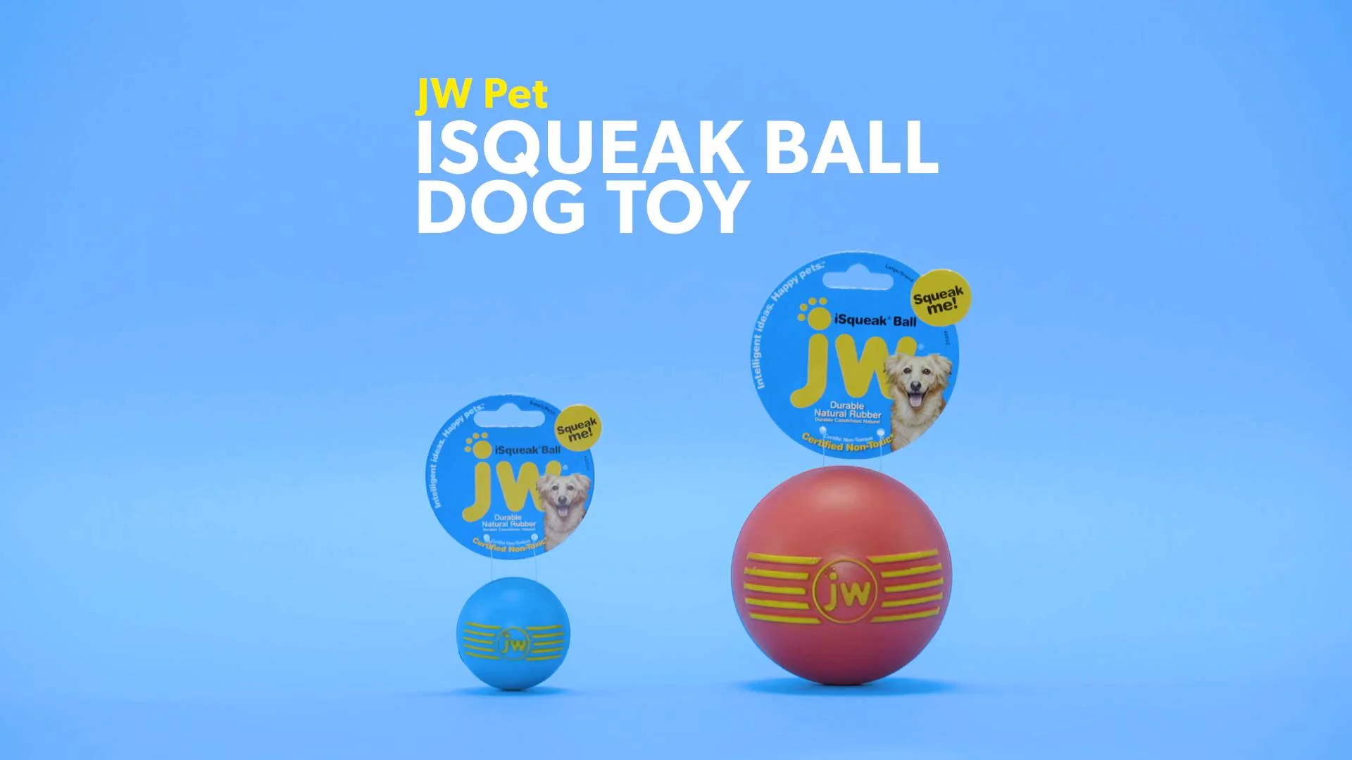 jw isqueak ball large