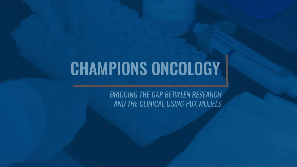 Oncology Research Pre Clinical Drug Development Xenograft