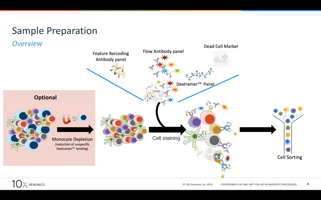 10x-pert Workshop: Redefining Immune Cell Phenotyping & Characterization