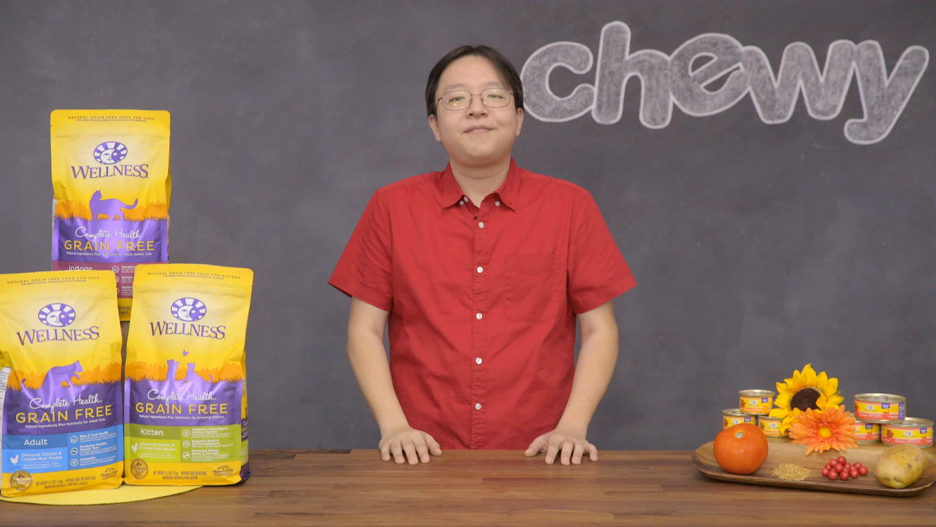 wellness complete health indoor cat food