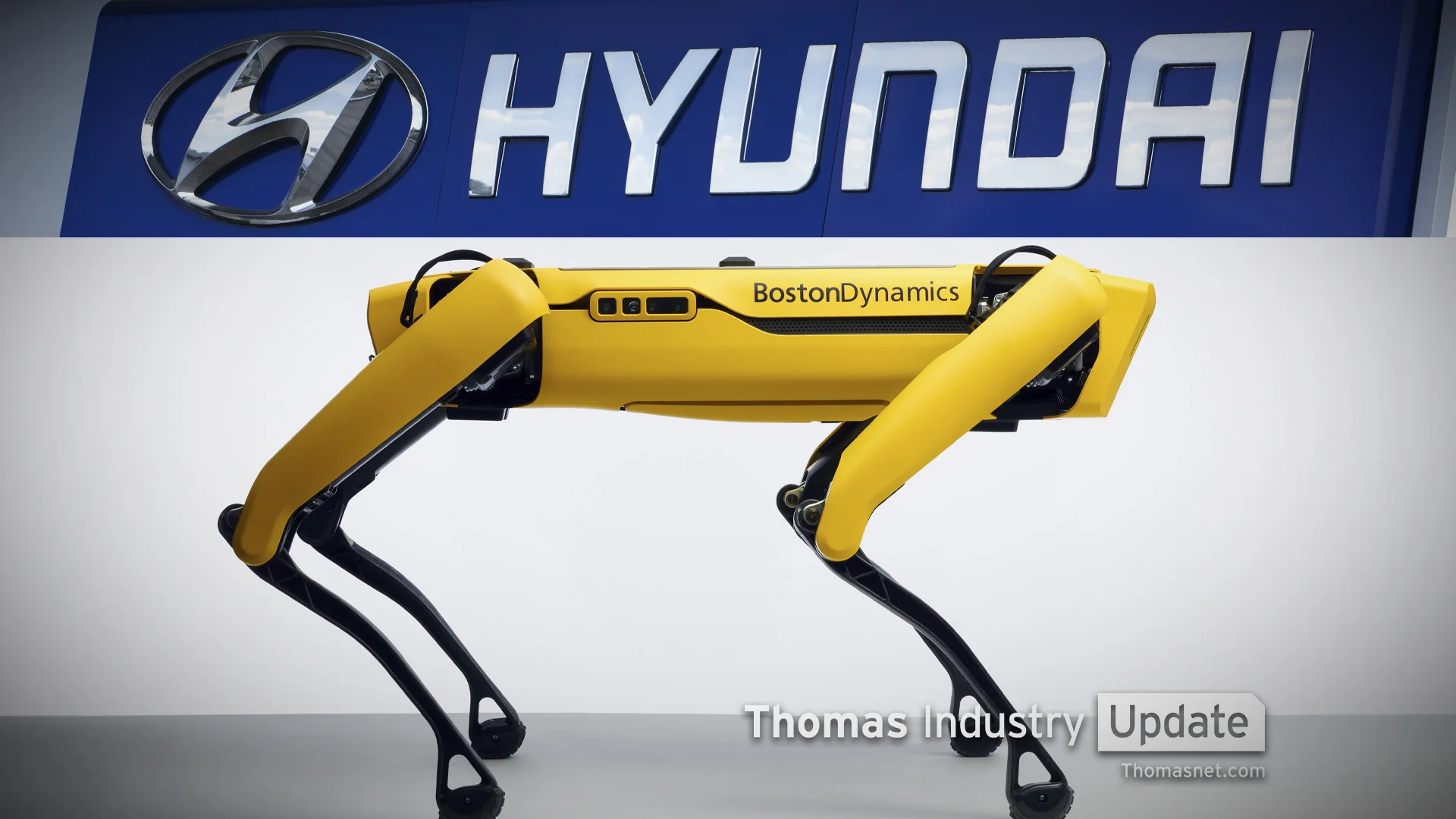 boston dynamics dog robot price
