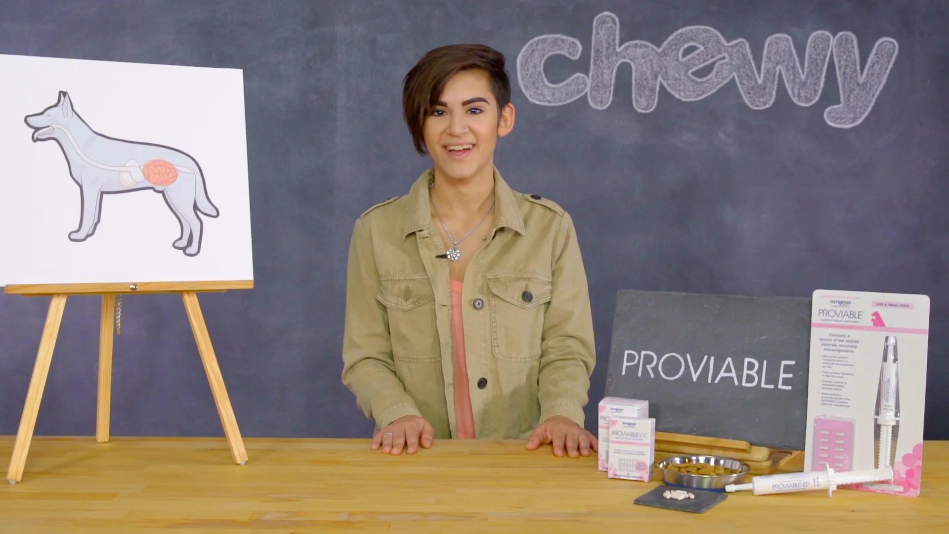 nutramax proviable dc for dogs