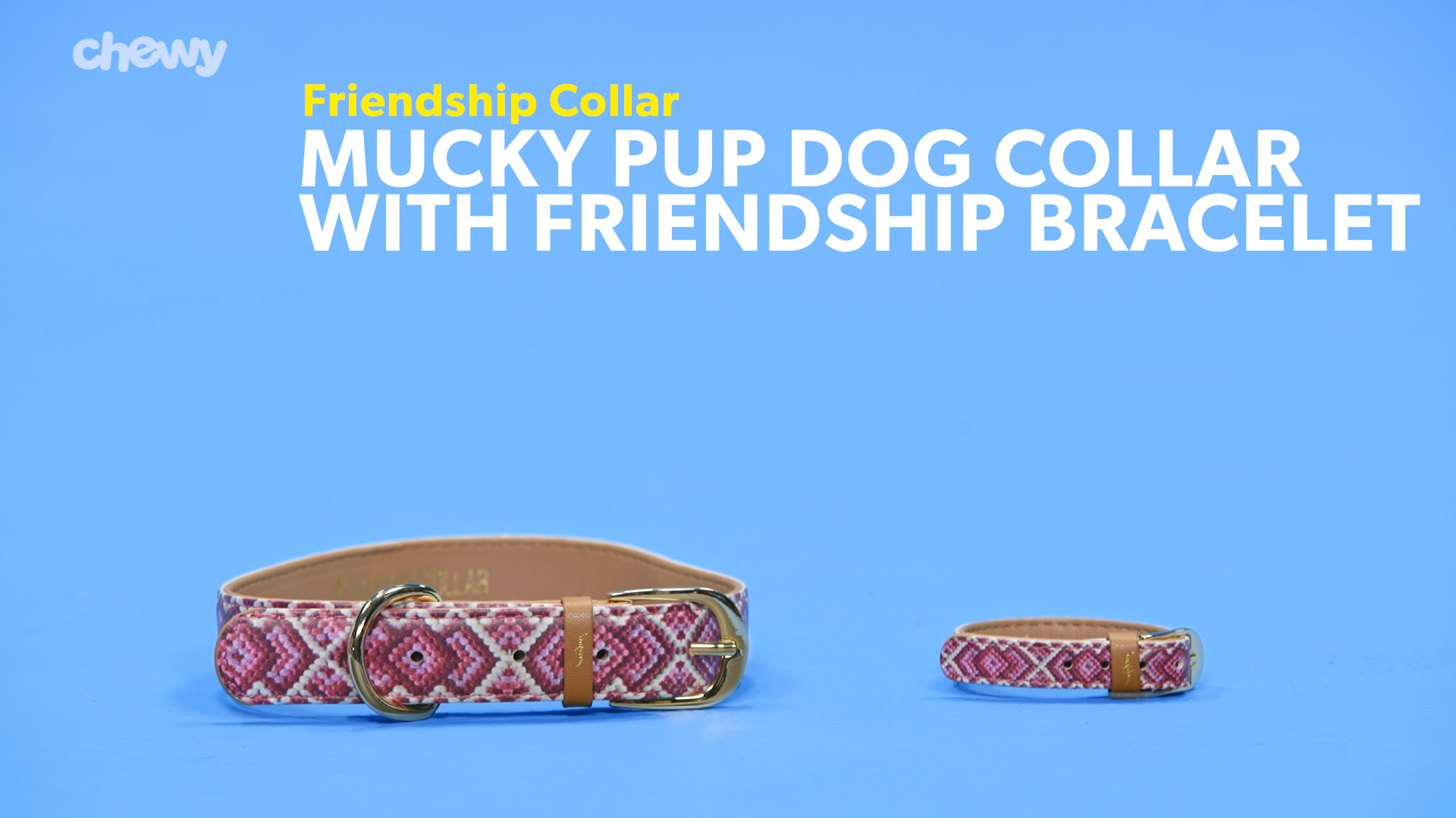 dog friendship bracelet