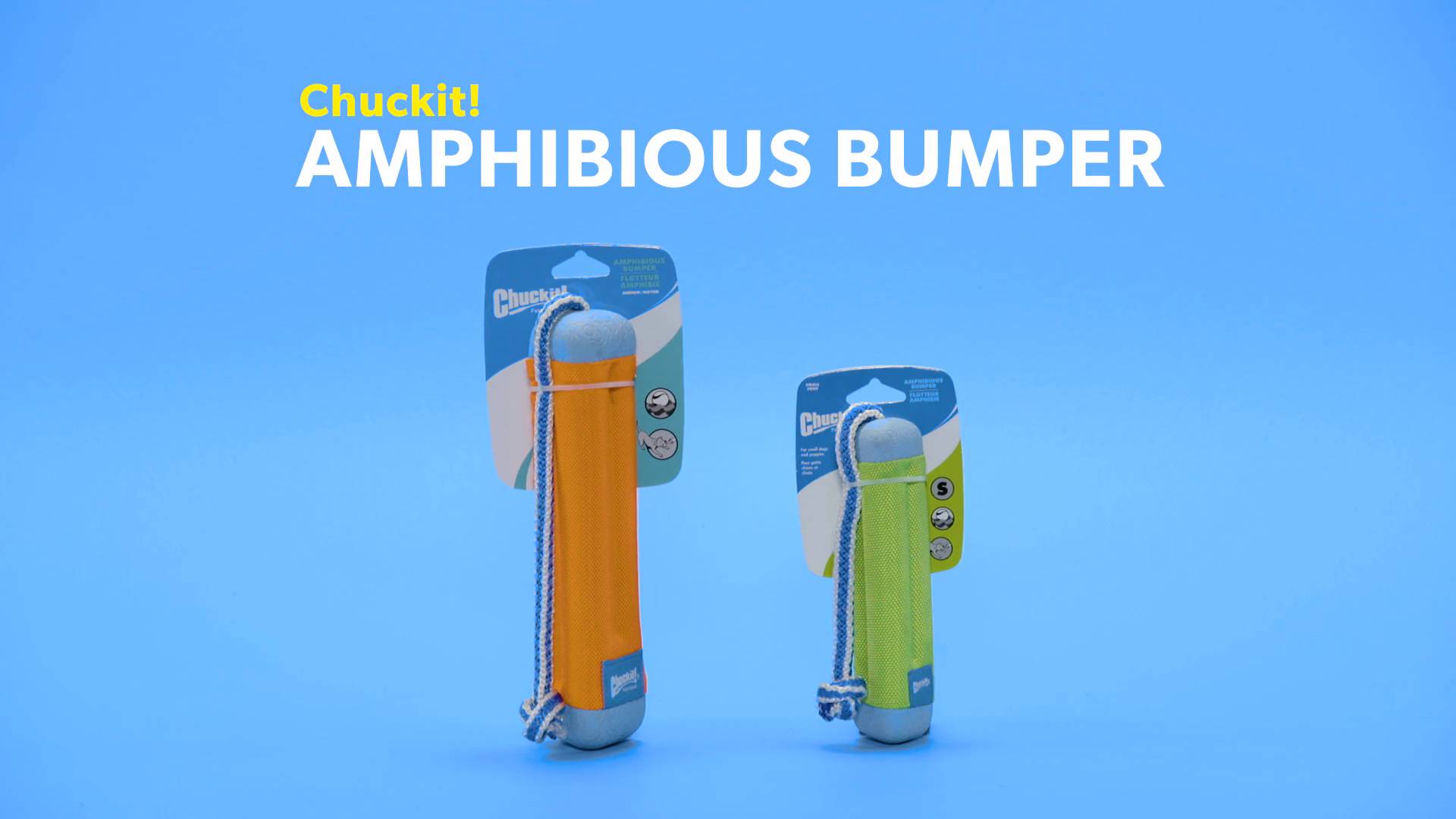 chuckit amphibious bumper