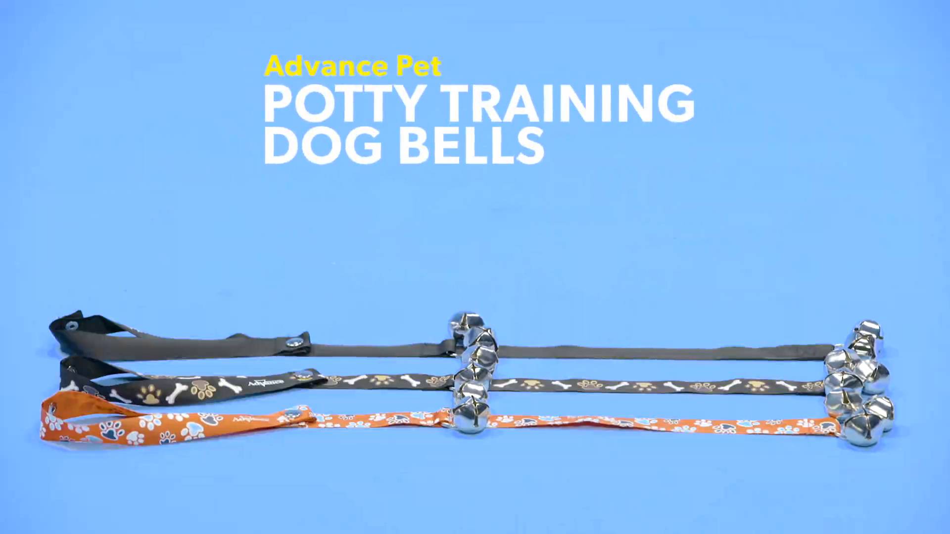 how to potty train a dog with a bell