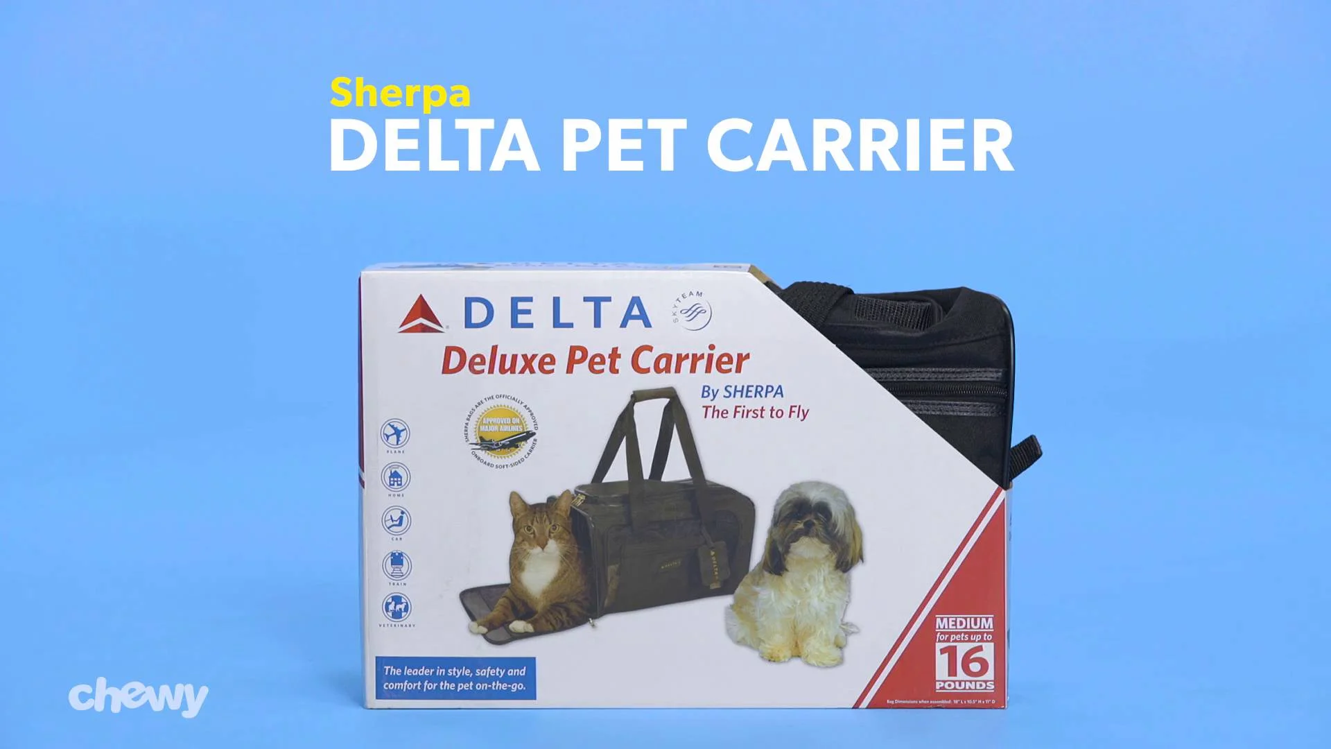 chewy pet carrier