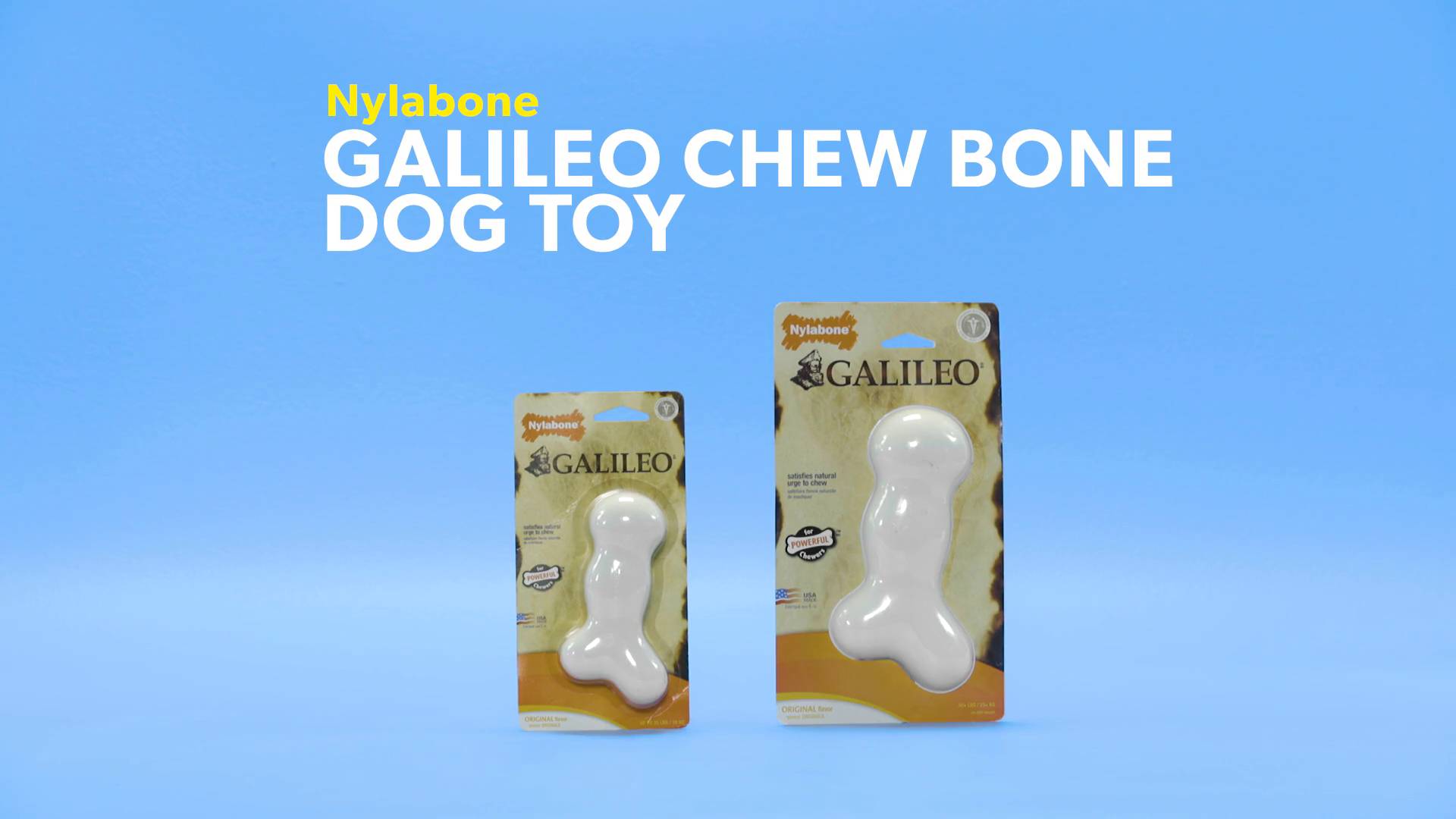 galileo dog bone by nylabone