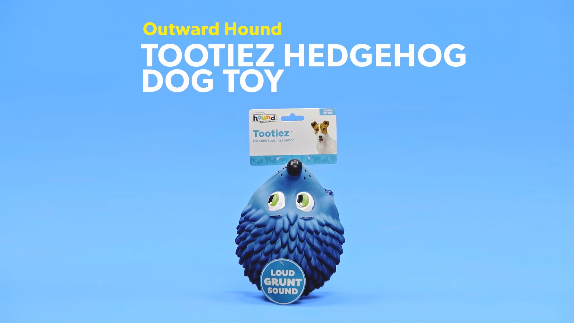 blue hedgehog dog toy