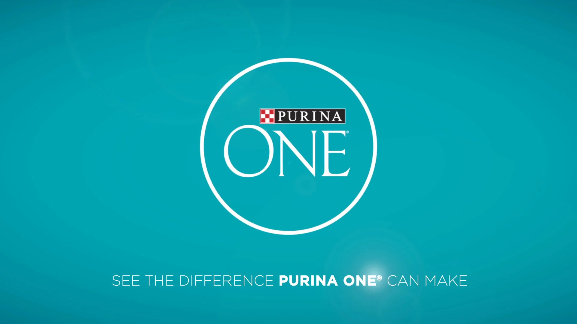 purina one tender selects blend with real chicken dry cat food