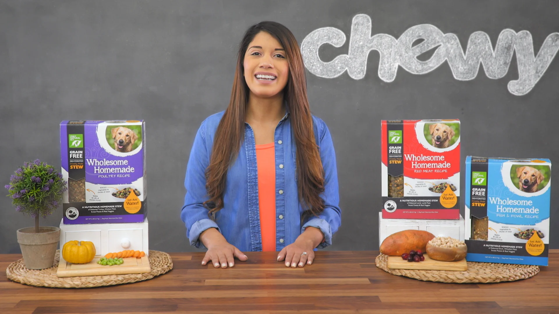 only natural pet wholesome homemade dog food