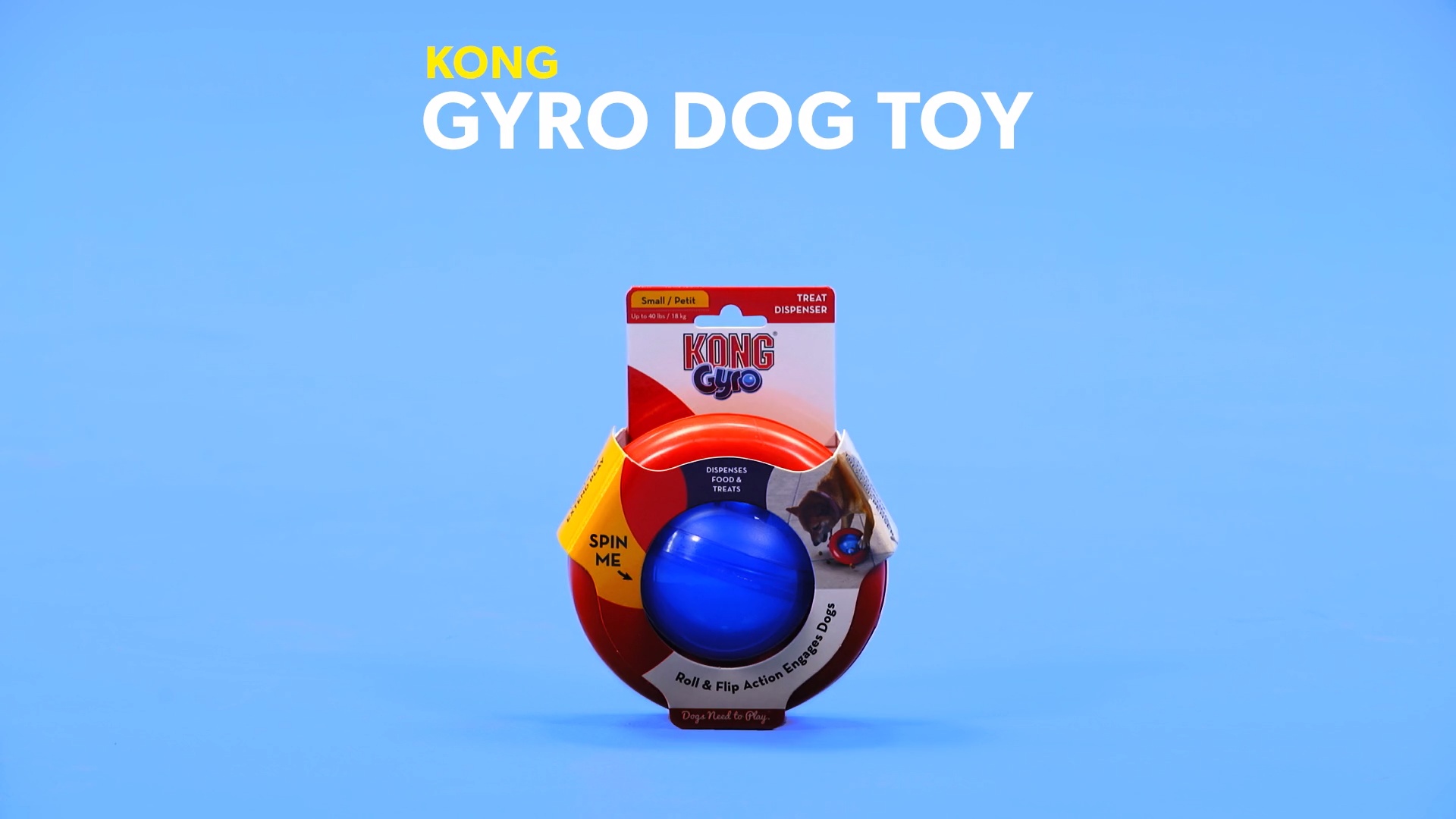 kong gyro large