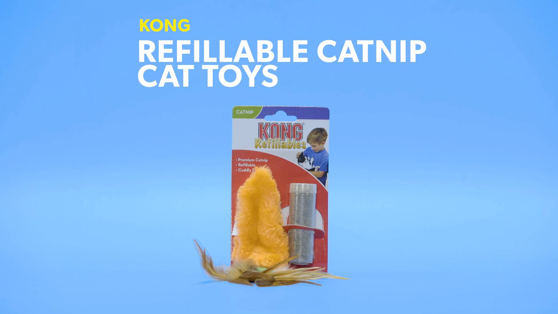 kong carrot cat toy
