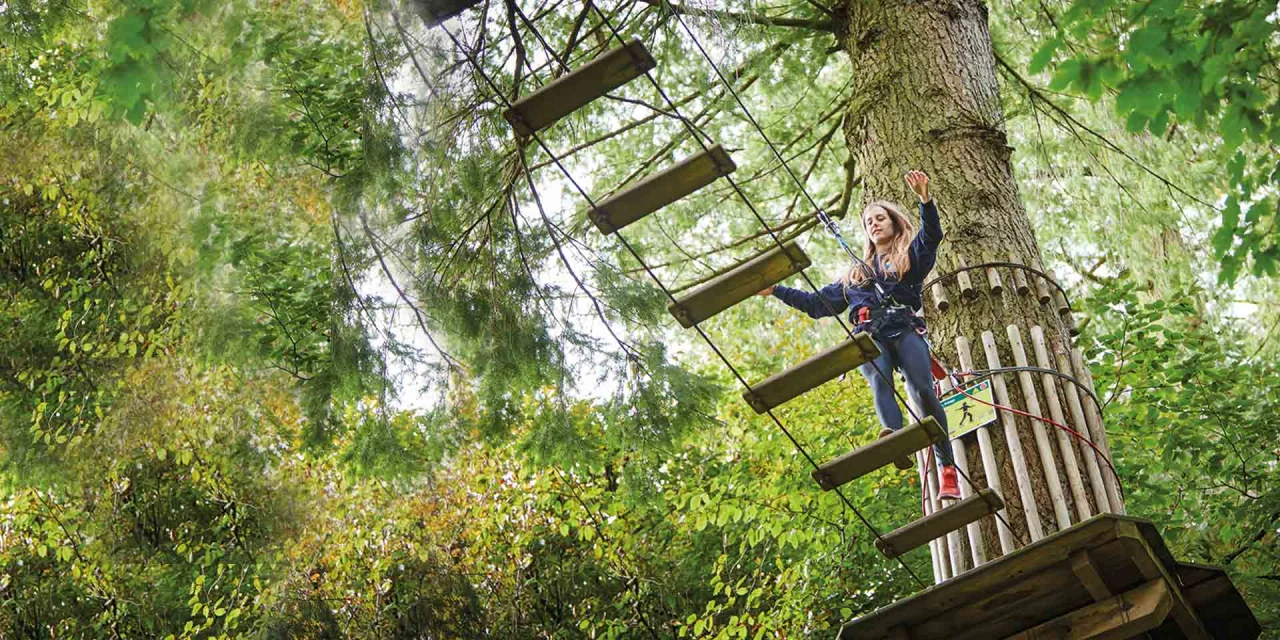 Go Ape Testimonials Responsetap Call Tracking Go Ape Testimonials Responsetap Call Tracking