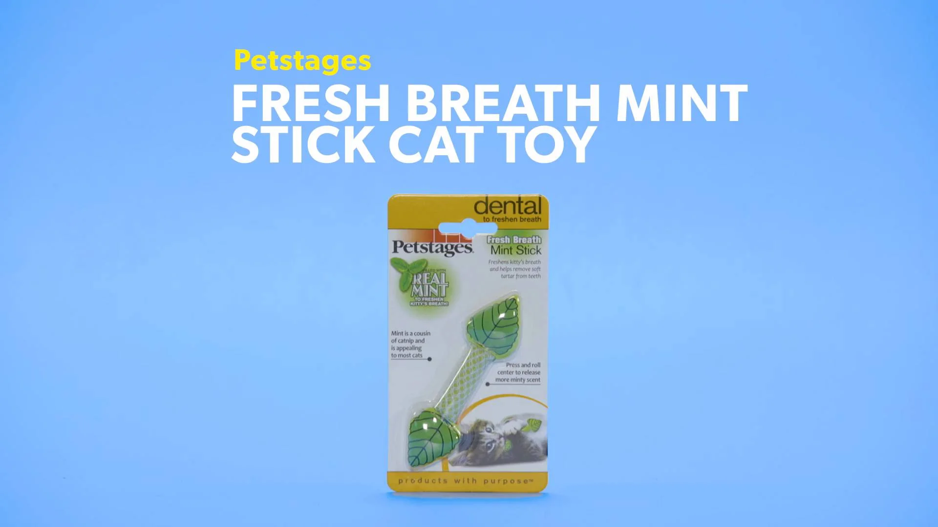 mint cat toy