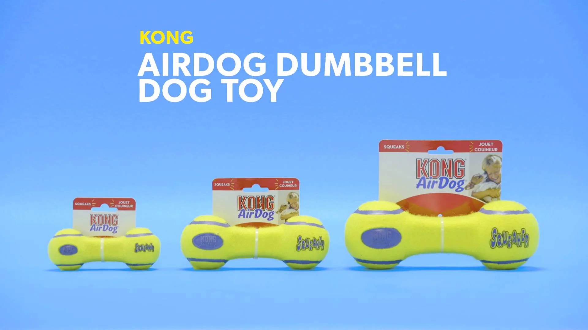 kong barbell dog toy