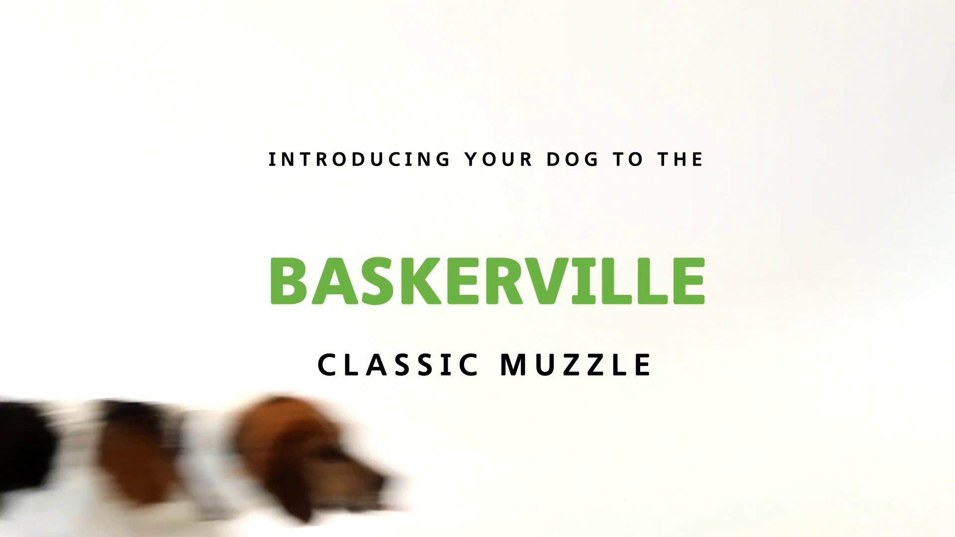 baskerville muzzle pets at home