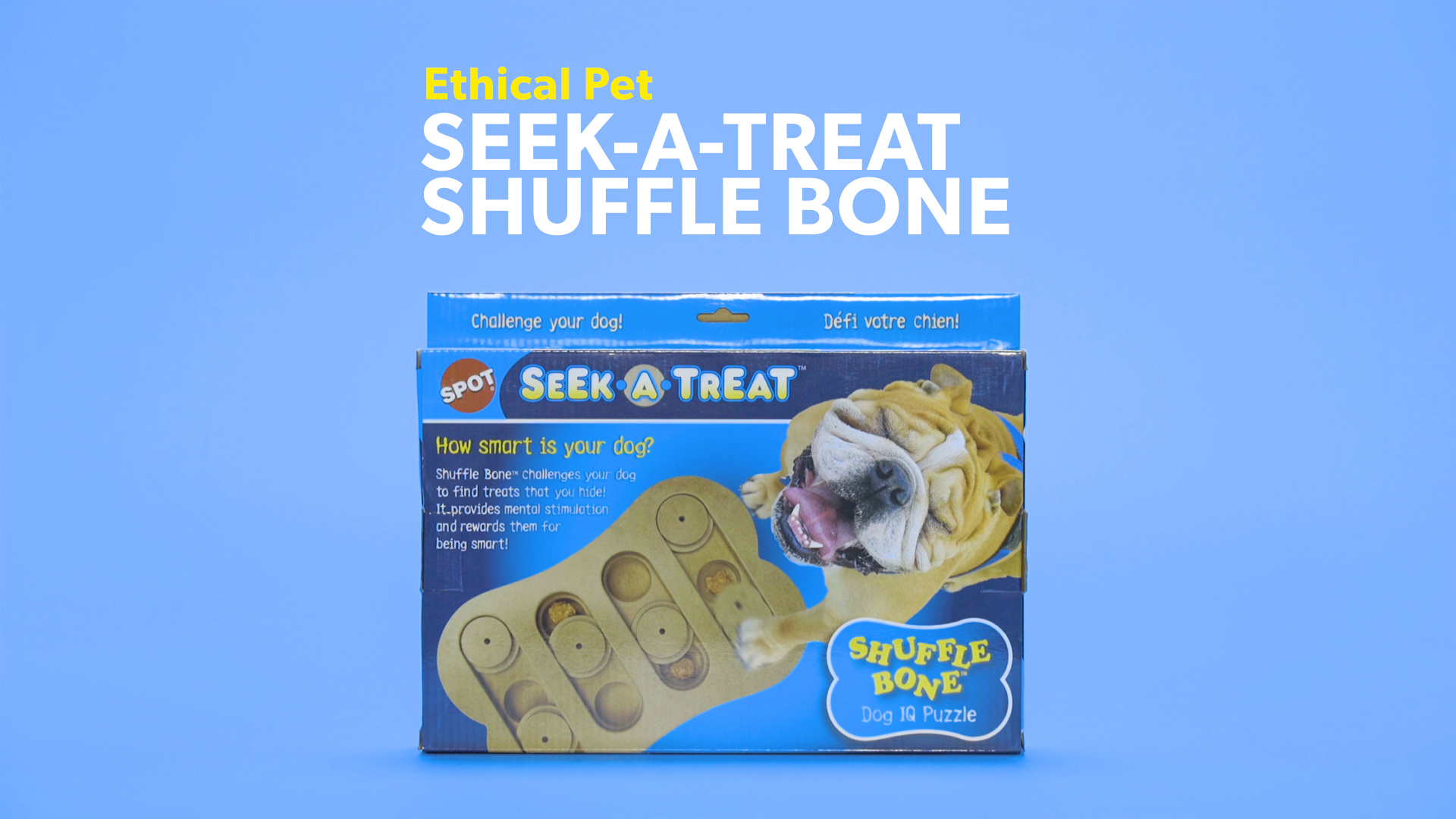 seek a treat dog puzzle