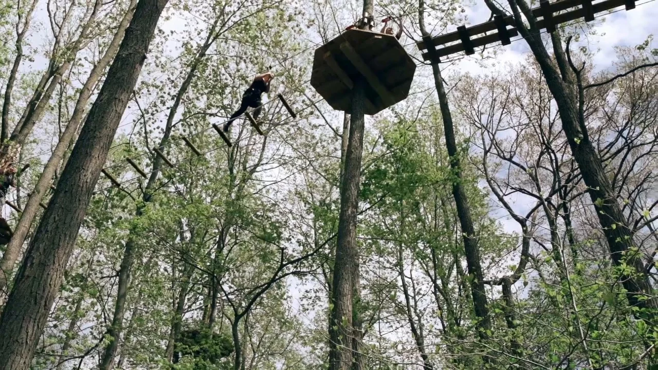 Zip Line Adventure Course In Richmond At Virgin Experience Gifts