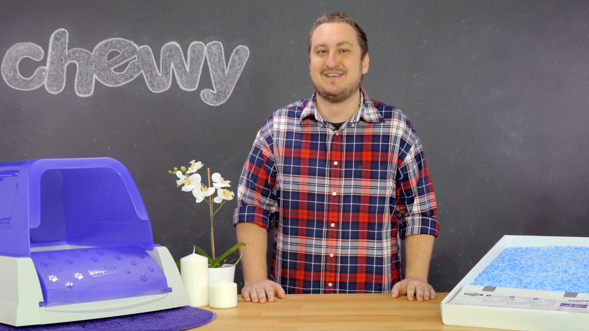 chewy self cleaning litter box