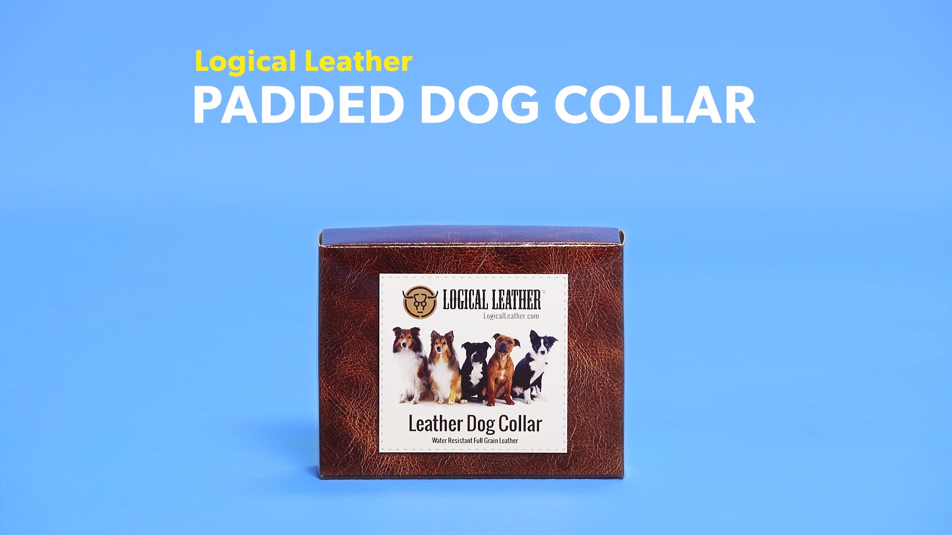 logical leather dog leash