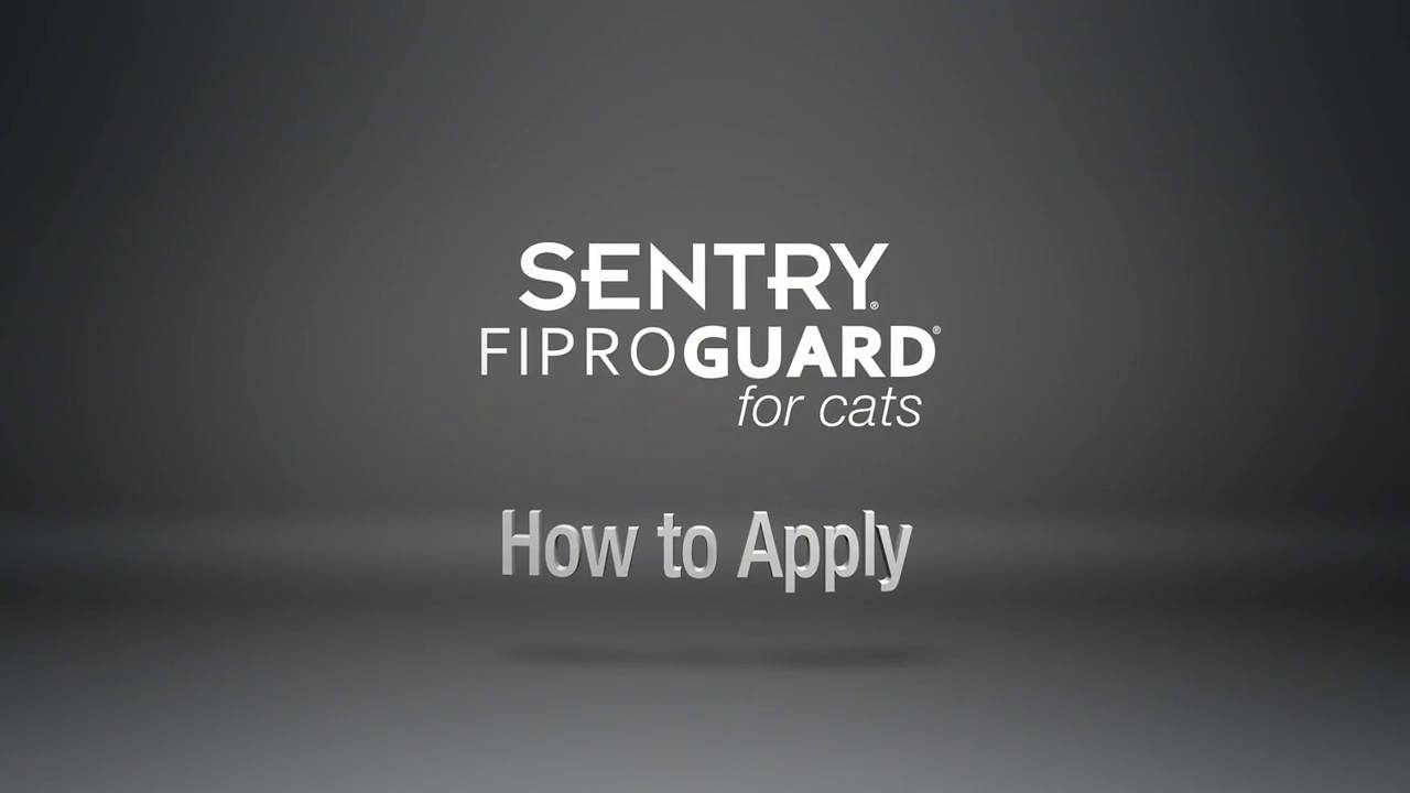 fiproguard for cats