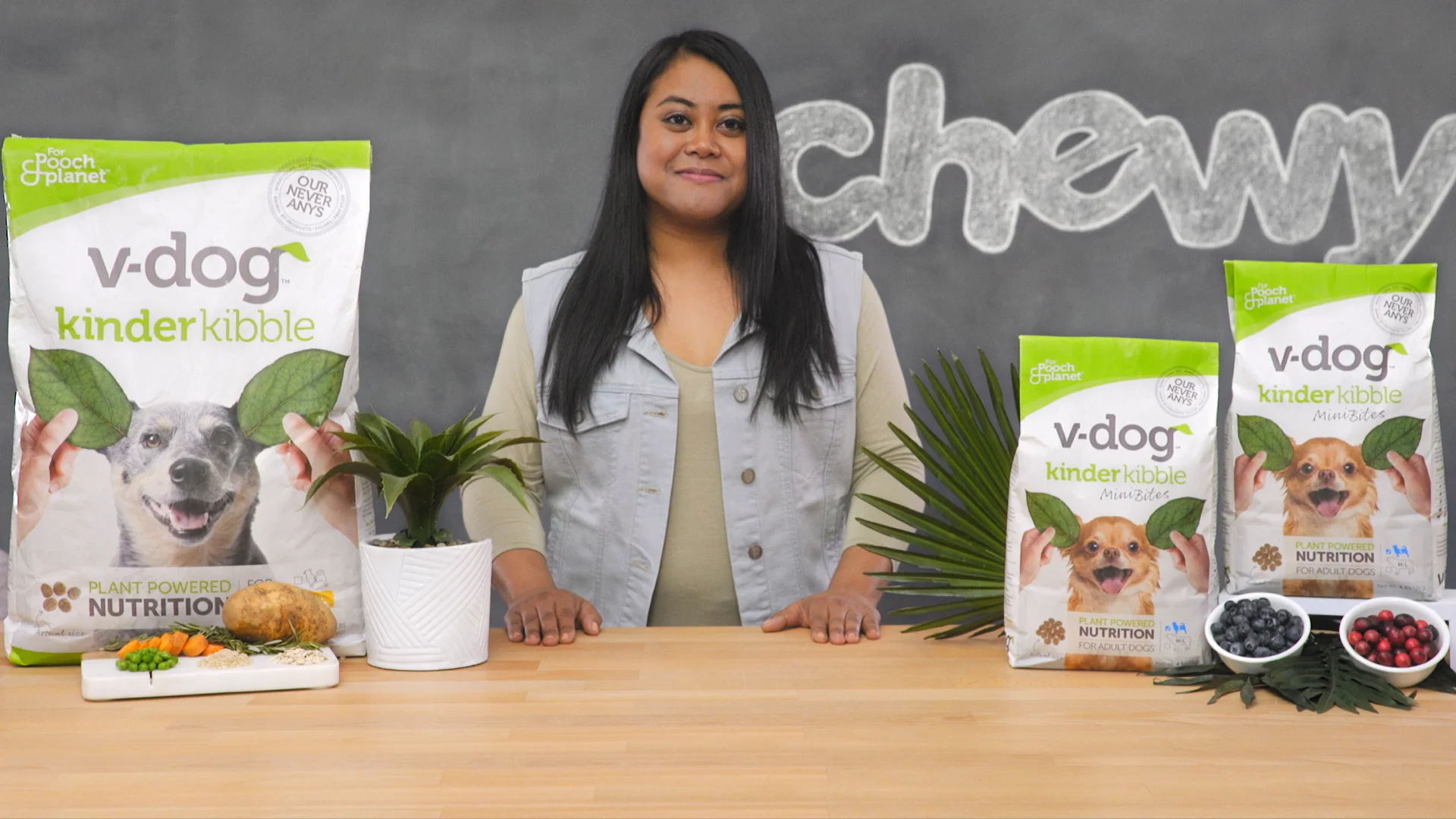 v dog vegan dog food