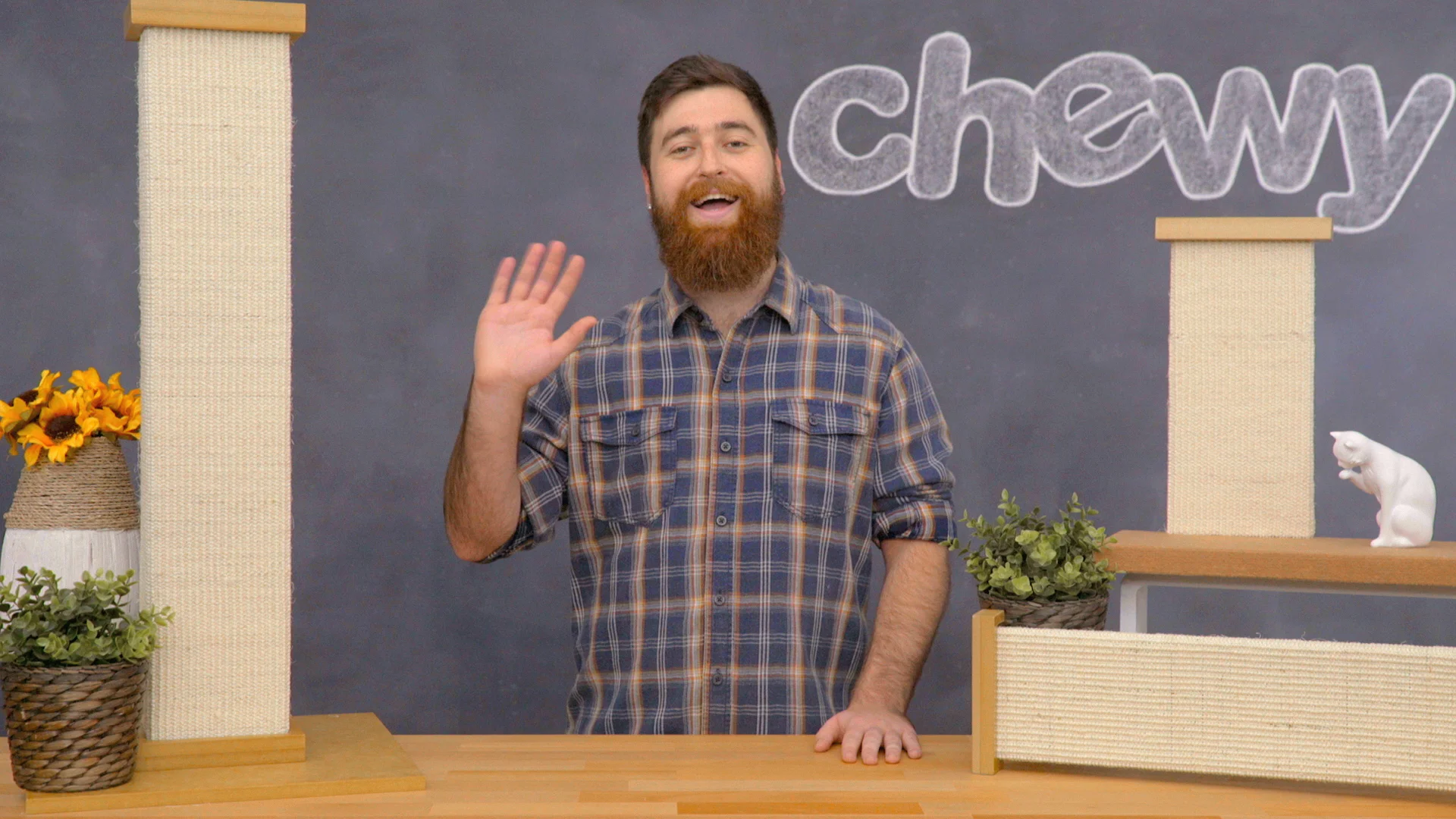 bootsie's combination scratcher