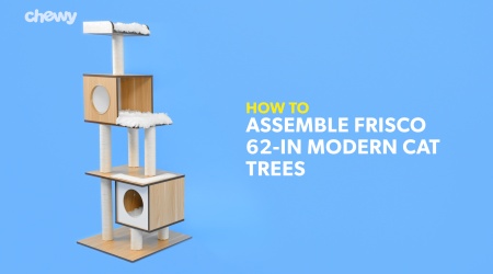 Frisco 62 In Modern Cat Tree Condo Gray Chewy Com