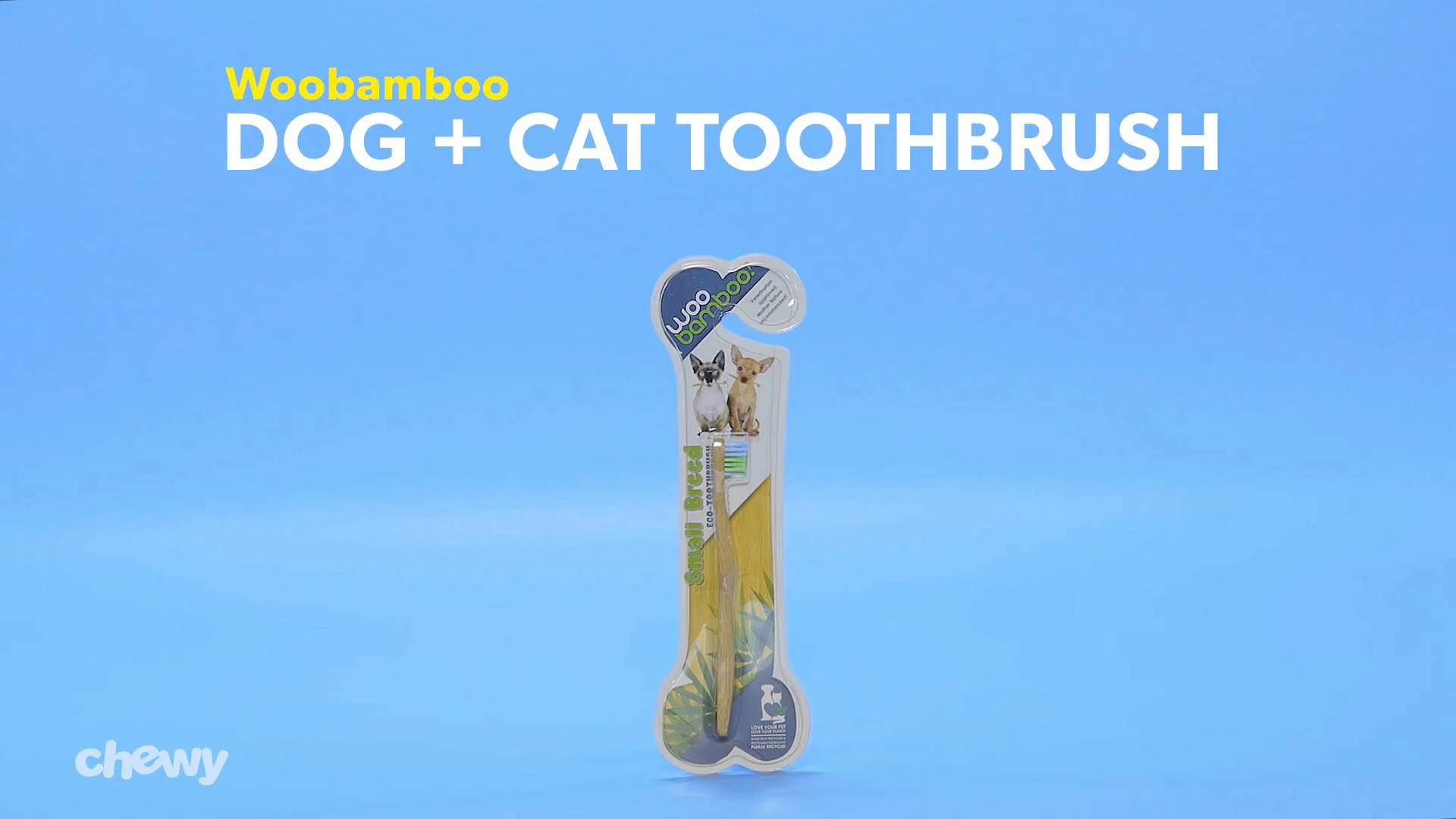 cat toothbrush video