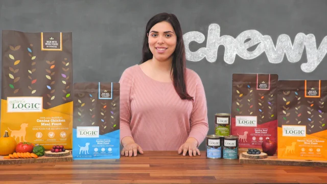 Nature S Logic Canine Beef Meal Feast All Life Stages Dry Dog Food 4 4 Lb Bag Chewy Com