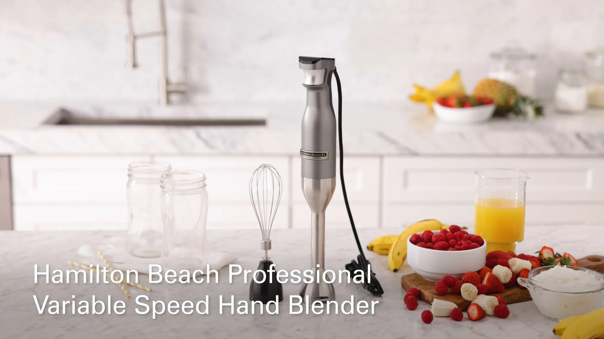 Cuisinart Variable Speed Immersion Blender with Food Processor