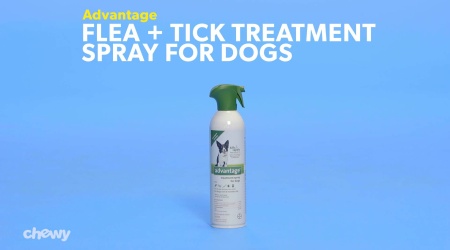 Advantage Flea Tick Treatment Spray For Dogs 8 Oz Bottle Chewy Com