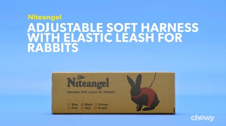 Niteangel Adjustable Soft Harness with Elastic Leash for Rabbits L, Red