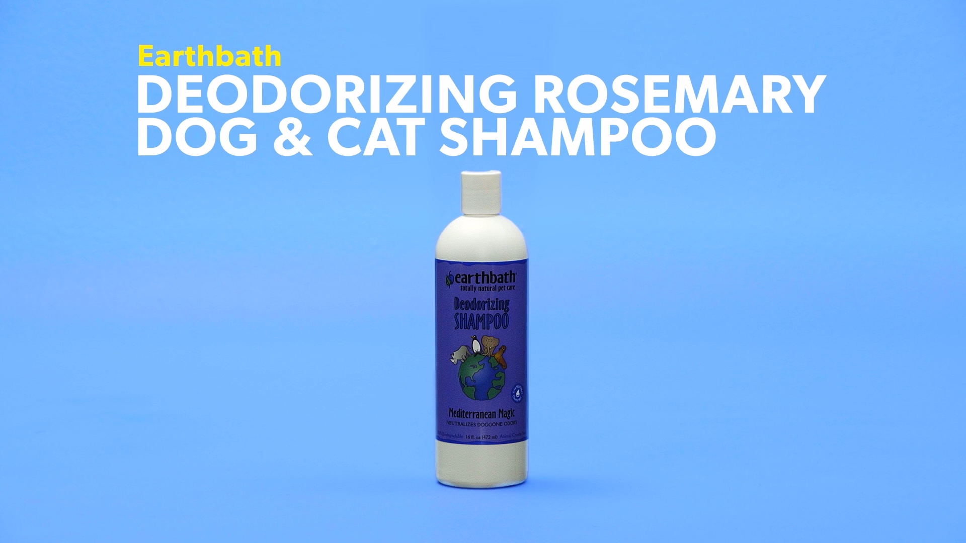 earthbath cat shampoo