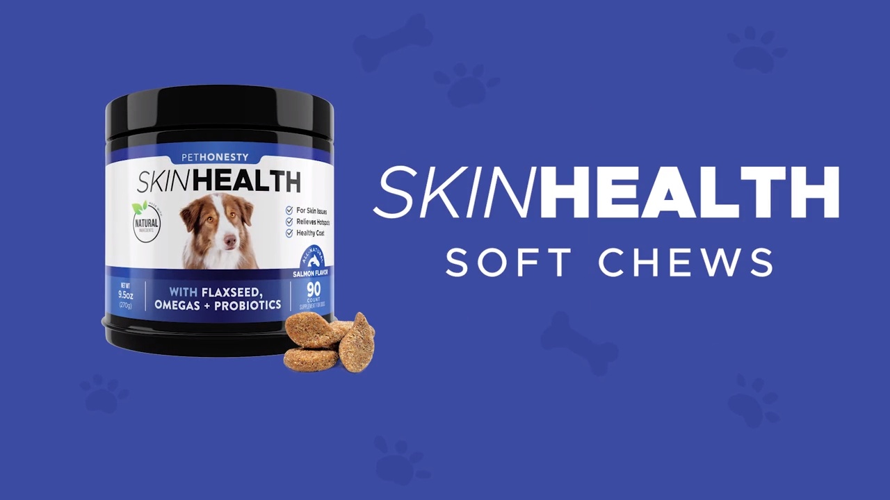 pethonesty probiotics for dogs