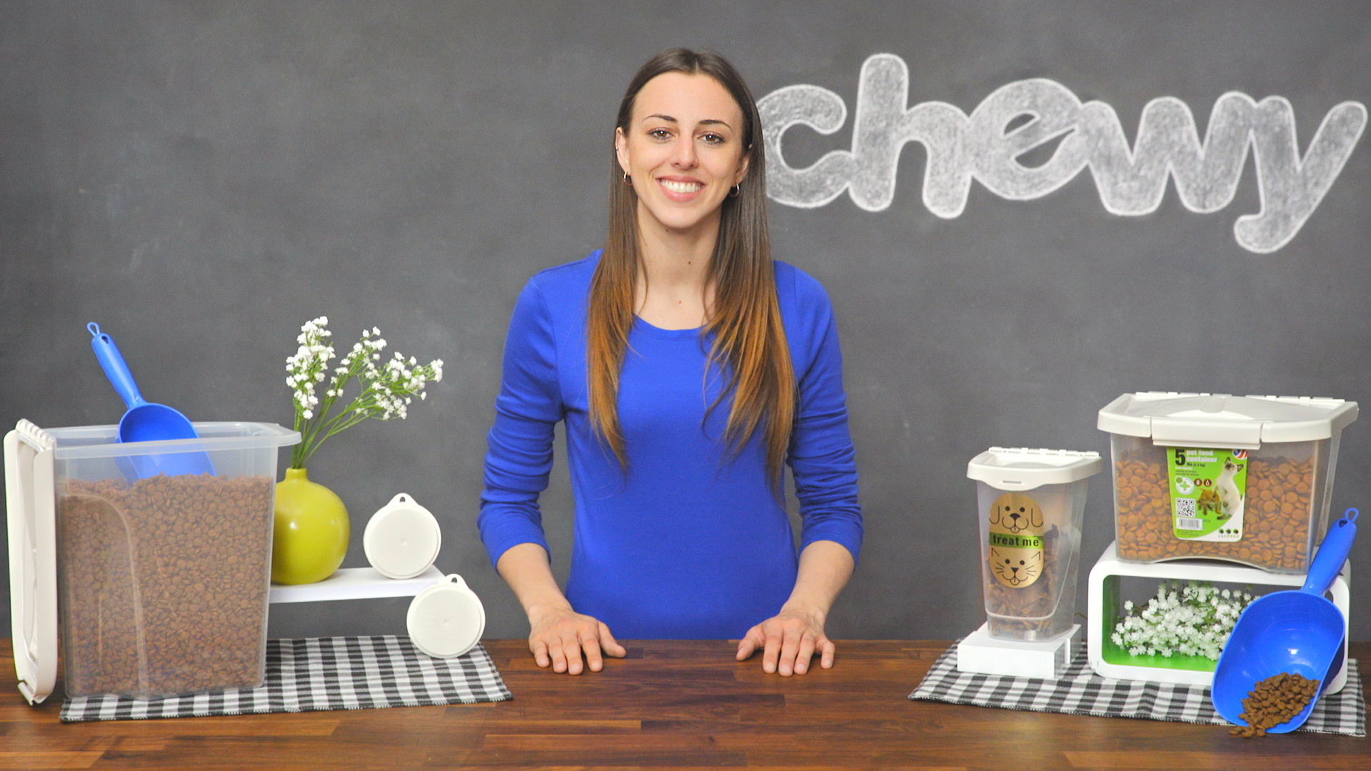 van ness dog food storage container