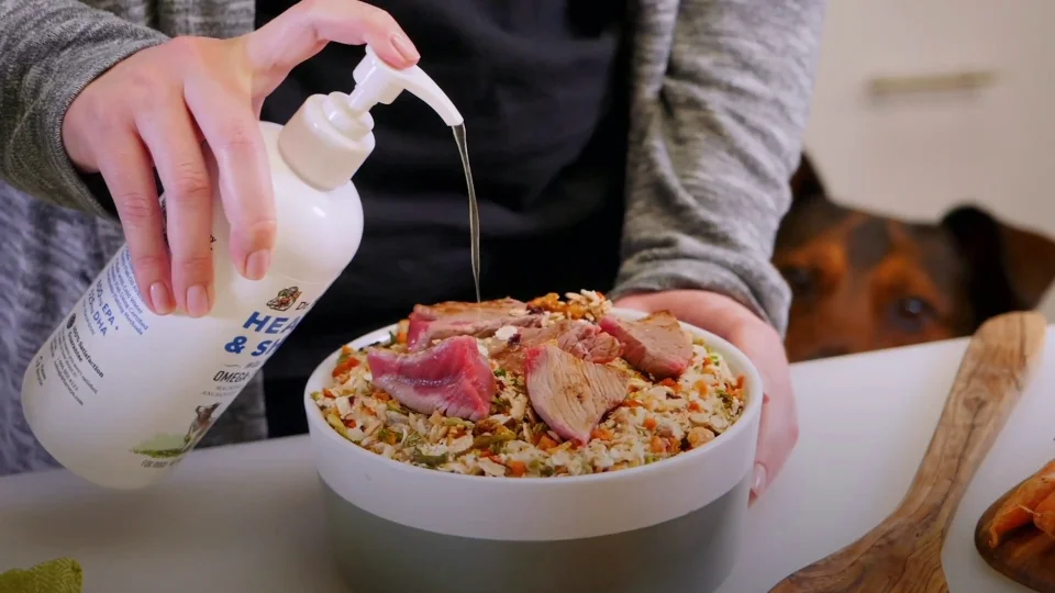 Health And Shine Omega 3 For Dogs Dr Harvey S