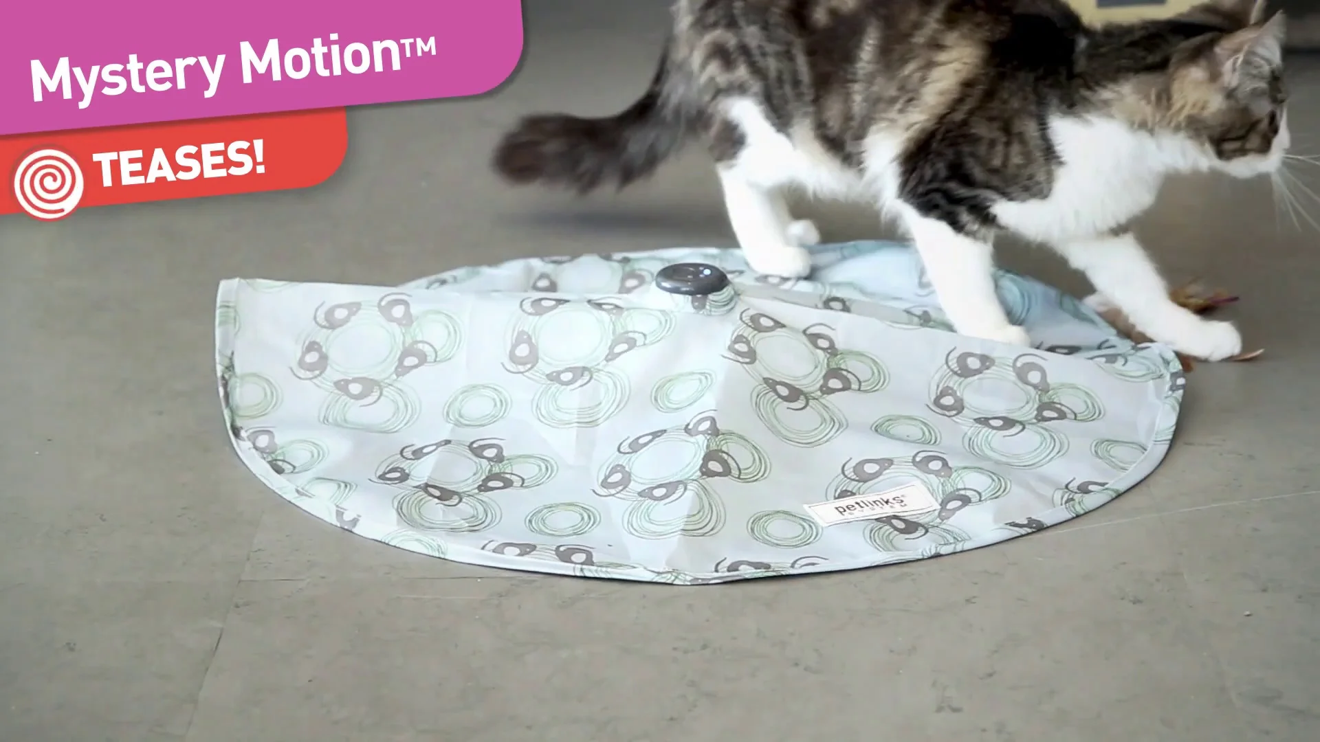 mystery motion cat toy