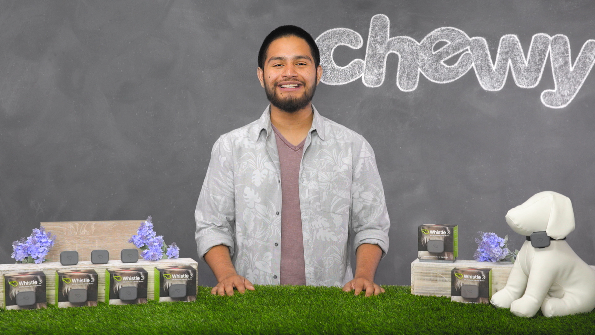 whistle tracker not working